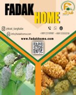 نمونه طراحی بنر فروش - تصویر 2