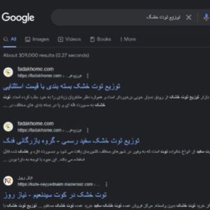 سئو سایت fadakhome.com