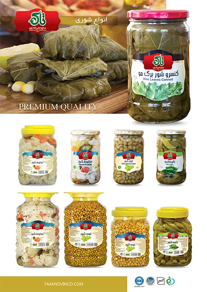 کاتالوگ (17)