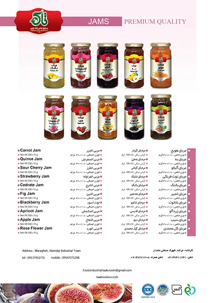 کاتالوگ (3)